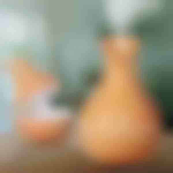 Humidificador de madera | HUMISTER