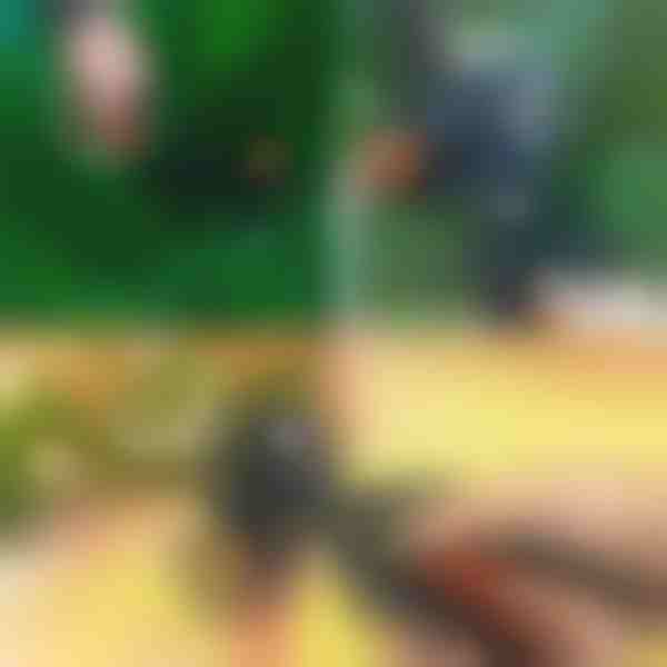 Tijeras profesionales 2 en 1 para podar e injertos | MASTERCUT